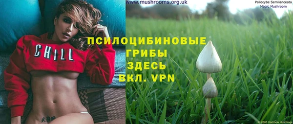 герыч Абаза