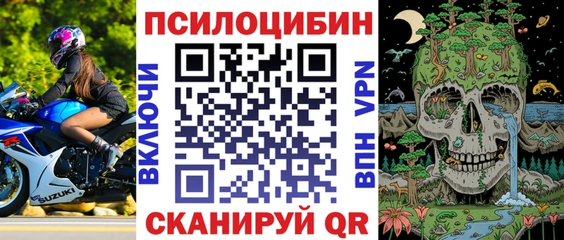 Псилоцибиновые грибы Psilocybe  наркота  Терек 